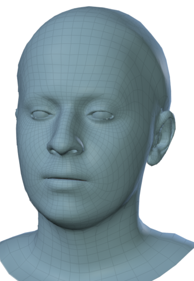 Sample meshes of two subjects.