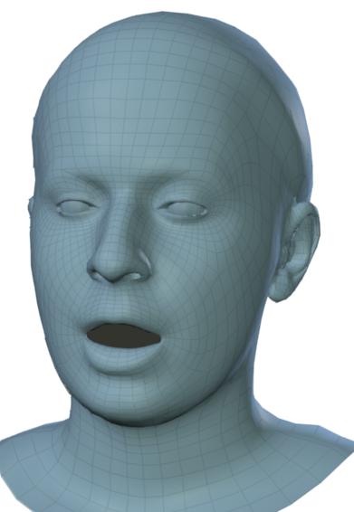 Sample meshes of two subjects.