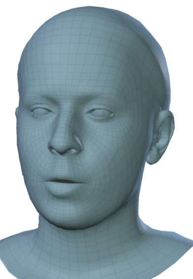 Sample meshes of two subjects.