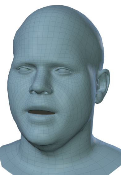 Sample meshes of two subjects.