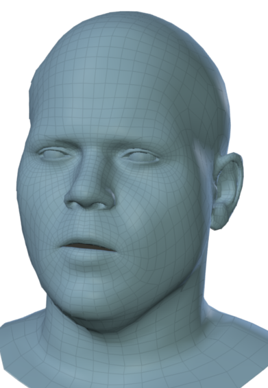 Sample meshes of two subjects.