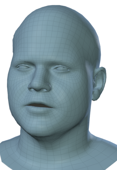 Sample meshes of two subjects.