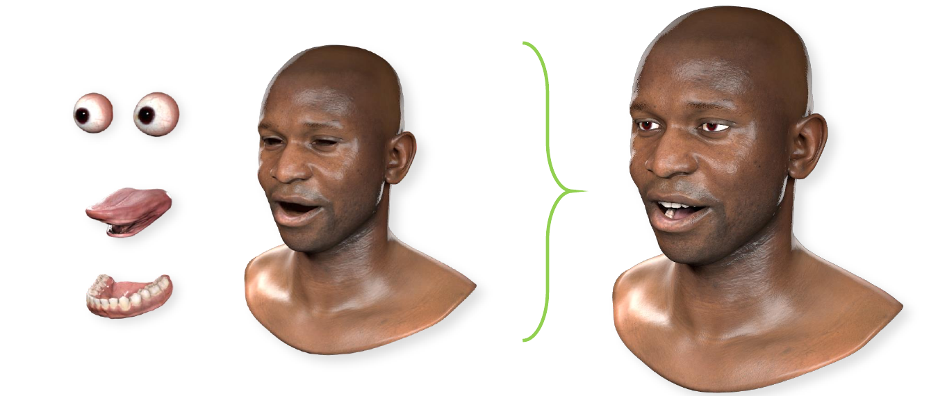 Facial components that are used to train animation. The appearance and the motion of each component (skin, tongue, jaw, and eyeballs) is captured from actors and processed to training parameters.