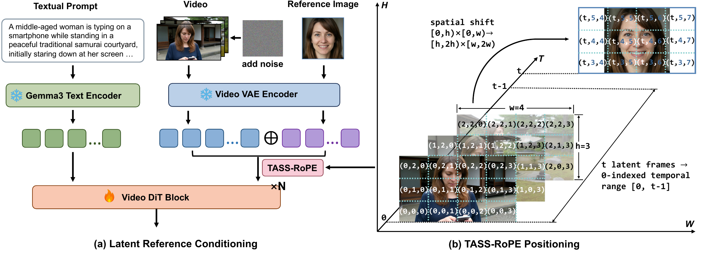 Overview of ST-DRC. (a) The reference image is encoded into the video latent space and concatenated with noisy video latents as a non-decoded identity memory. (b) TASS-RoPE places reference tokens near the video sequence in time but shifts them in space, enabling identity retrieval while reducing pixel-level copy-paste.
