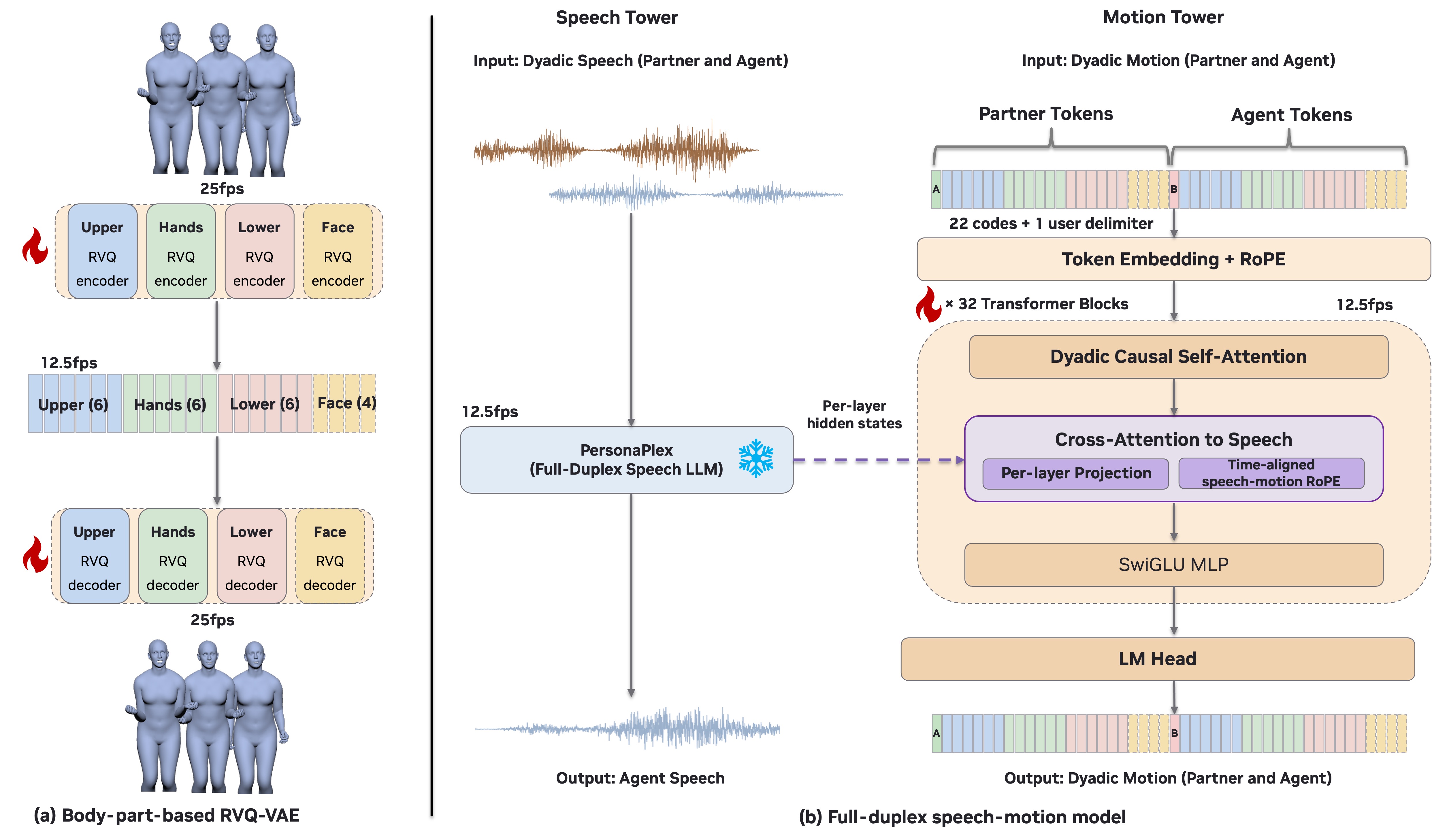 Architecture overview. DyaPlex consists of three components: (a) part-aware RVQ-VAE decoders and (b) a frozen speech tower, and a trainable motion tower. The speech tower (PersonaPlex) takes in dyadic speech, emits agent speech autoregressively, and exposes its per-layer residual-stream hidden states $\_ \_ =1^32$. For training, we precompute $\_ $ once ( ) to serve as cross-attention keys and values for the motion tower. The $32$-layer causal motion tower ($d_m=1024$, $h_m=16$) operates on a dyadically interleaved stream at $12.5$\,fps: $[ , ^A_t, , ^B_t, ]$. Each block applies dyadic causal self-attention on the motion stream, followed by cross-attention to the speech states using a learned projection ($h_c=12$, $d_c=64$) and time-aligned speech-motion RoPE. The LM head outputs motion tokens (supervised on 18 SMPL-H body codes for our body-only base model) at $12.5$\,fps, which the RVQ-VAE decoders with $2 $ temporal upsampling then finally reconstruct into SMPL-X pose parameters at 25\,fps.