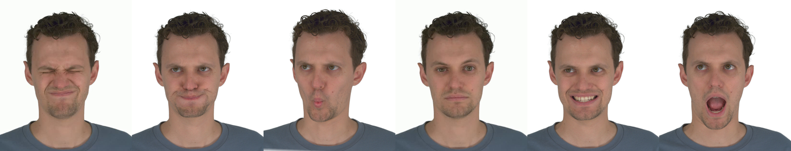 Visualization of the six expressions used in the expression-dependency study