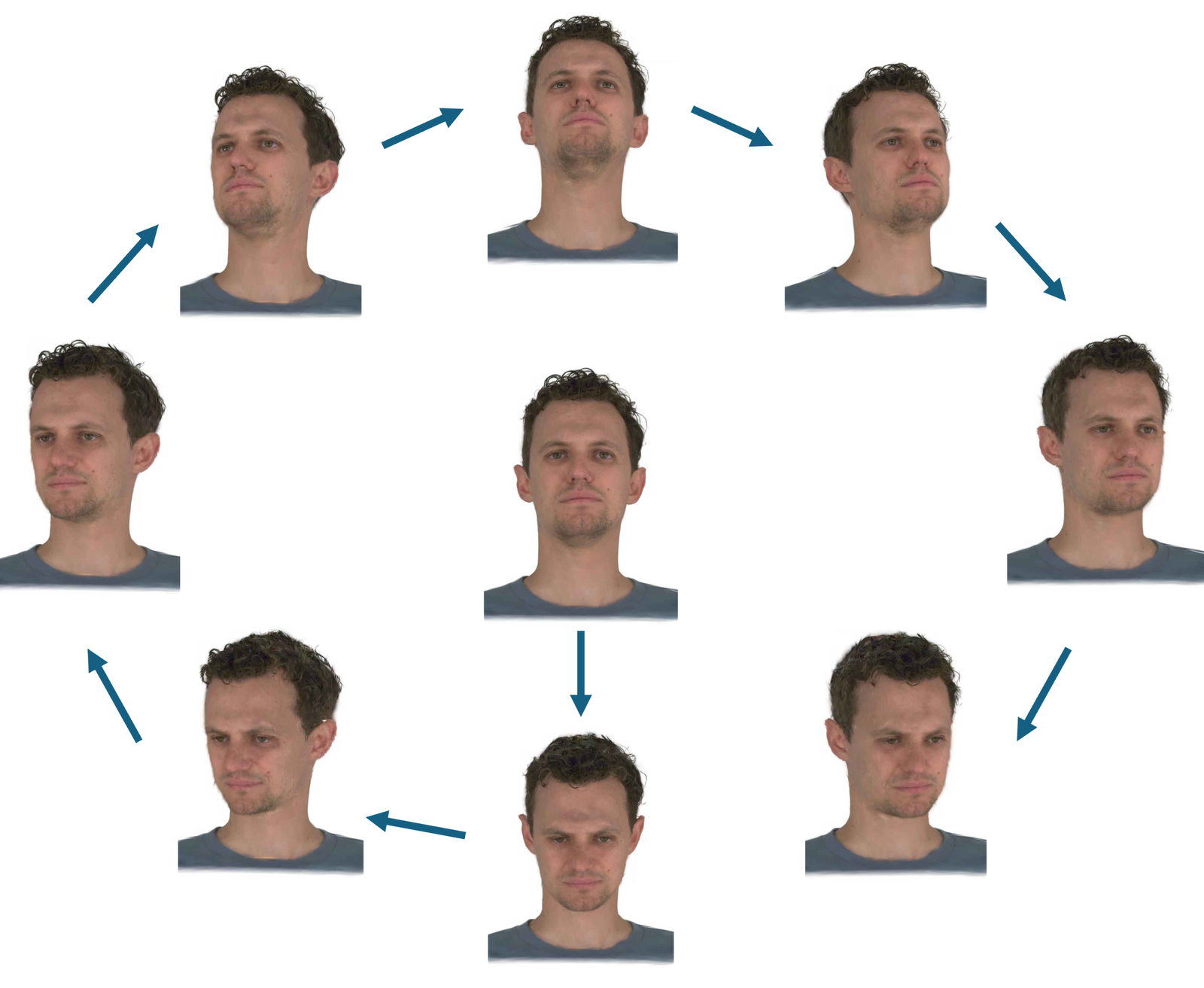 Visualization of the curated monocular dataset