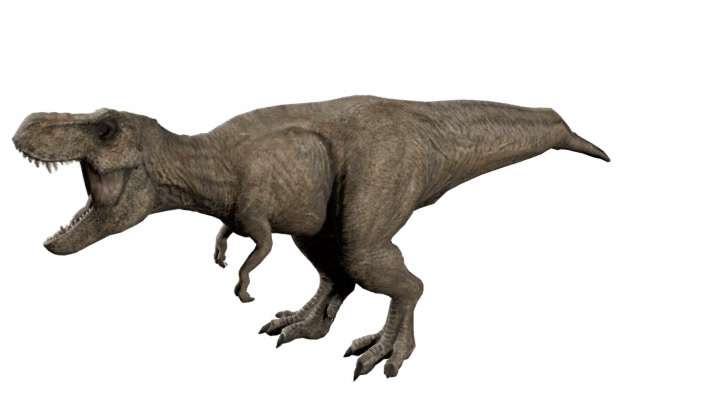 Two-phase optimization ablation on T-Rex.