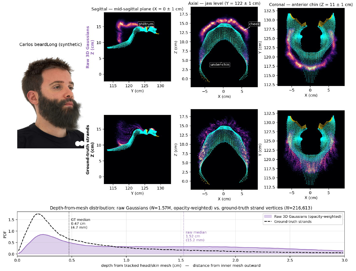 Tomographic analysis of raw Gaussian distribution. Raw Gaussians from photometric optimization concentrate on the outer visible shell, leaving the beard interior unsupported. Tomographic slices of 1,572,297 raw Gaussians along three anatomical planes show that density forms a thin outer band, while the philtrum, cheeks, and underside of the chin remain visibly sparse. This is quantitatively confirmed by the depth distribution: ground-truth strands fill the interior densely (median 4.7 mm from mesh; 35.1% within 3 mm), whereas optimized Gaussians are pushed outward by roughly 3x (median 15.2 mm; only 12.7% within 3 mm), producing the tracing failures discussed above.