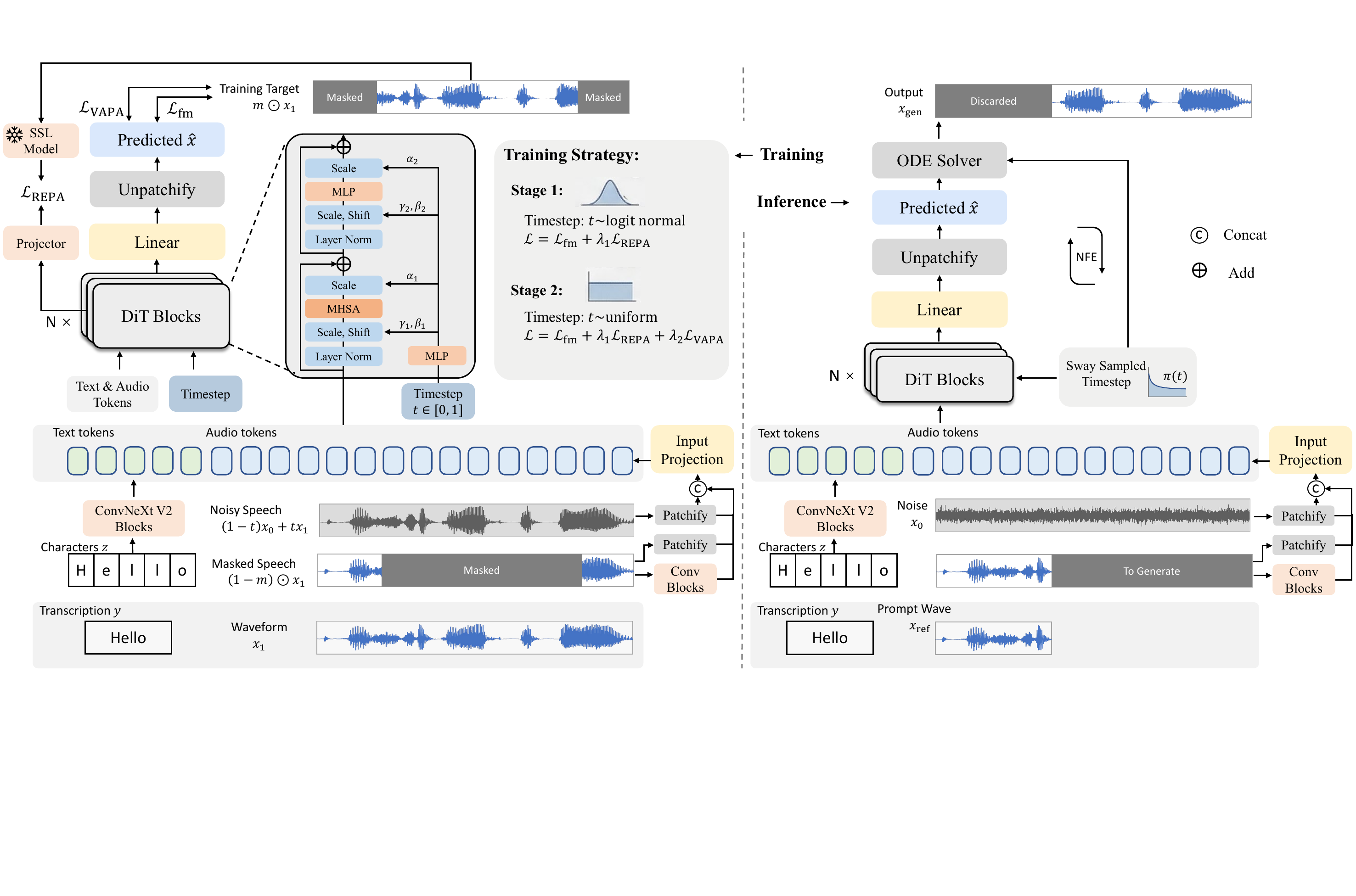 Overview of the proposed waveform-native TTS framework. In the training stage, the generator is guided by a main flow-matching branch and an auxiliary representation alignment branch. The optimization utilizes a staged schedule with distinct timestep ($t$) distributions, where velocity-aware perceptual alignment is enabled only after the model reaches the refinement stage. At inference, all auxiliary components are discarded, preserving a single direct text-to-waveform generator.