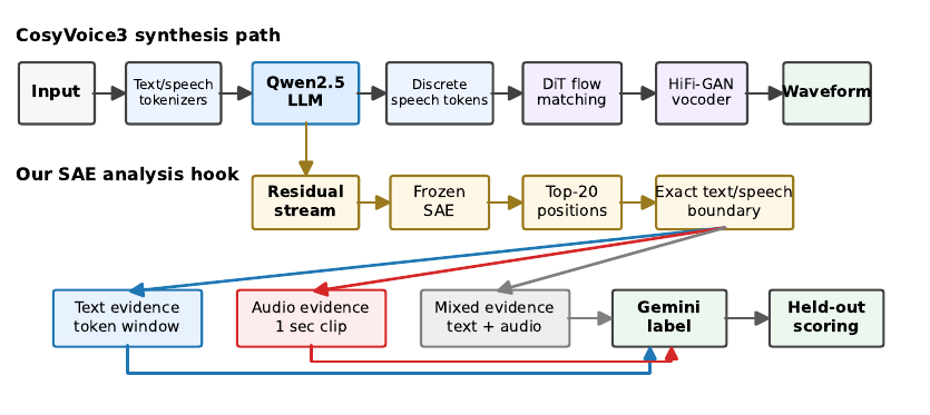 CosyVoice-aware view of our modality-aware SAE interpretation pipeline. CosyVoice3 synthesizes speech by passing text and prompt audio through tokenizers, an LLM backbone, discrete speech token generation, DiT flow matching, and a HiFi-GAN vocoder. Our analysis attaches SAEs to the LLM residual stream, uses exact text/speech boundaries to route top activations to text, audio, or mixed evidence, then labels and scores the resulting features.
