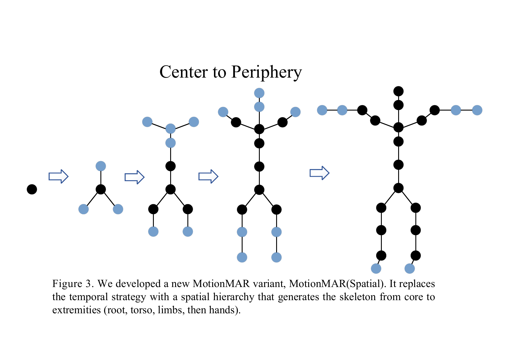 We developed a new MotionMAR variant, MotionMAR(Spatial). It replaces the temporal strategy with a spatial hierarchy that generates the skeleton from core to extremities (root, torso, limbs, then hands).