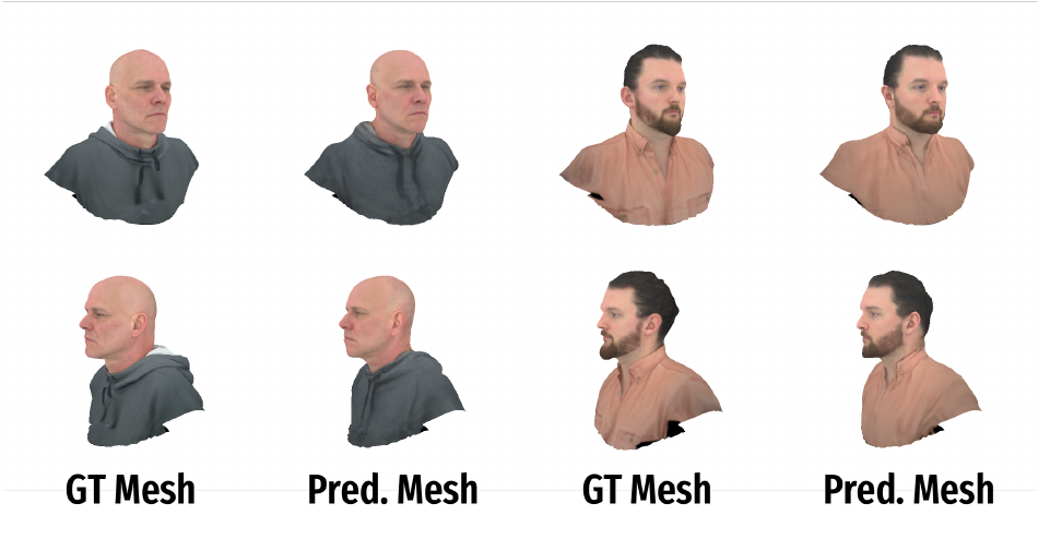 FiCA meshes compared with GT meshes.