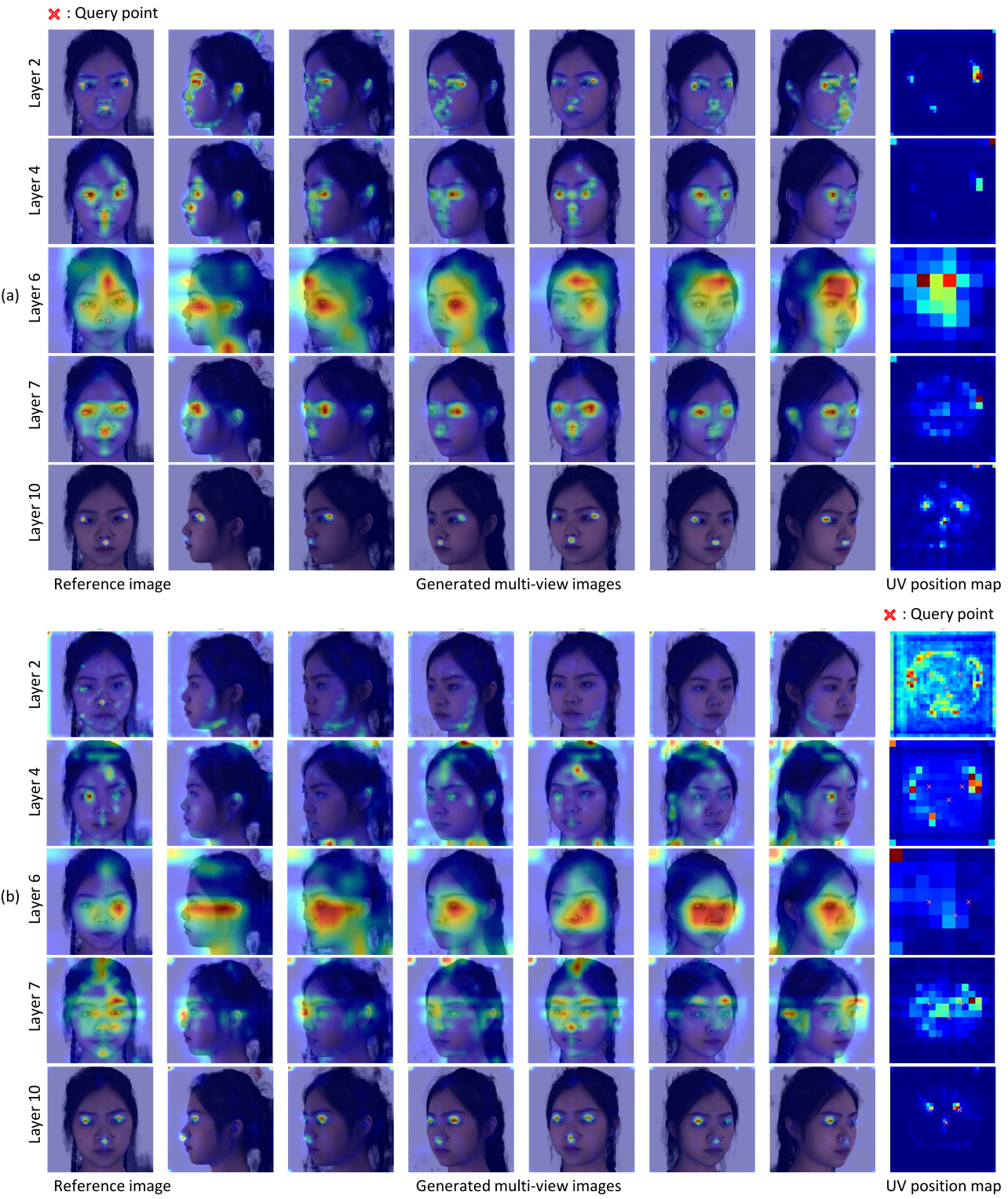 Layer-wise cross-attention maps between geometry and appearance streams.
