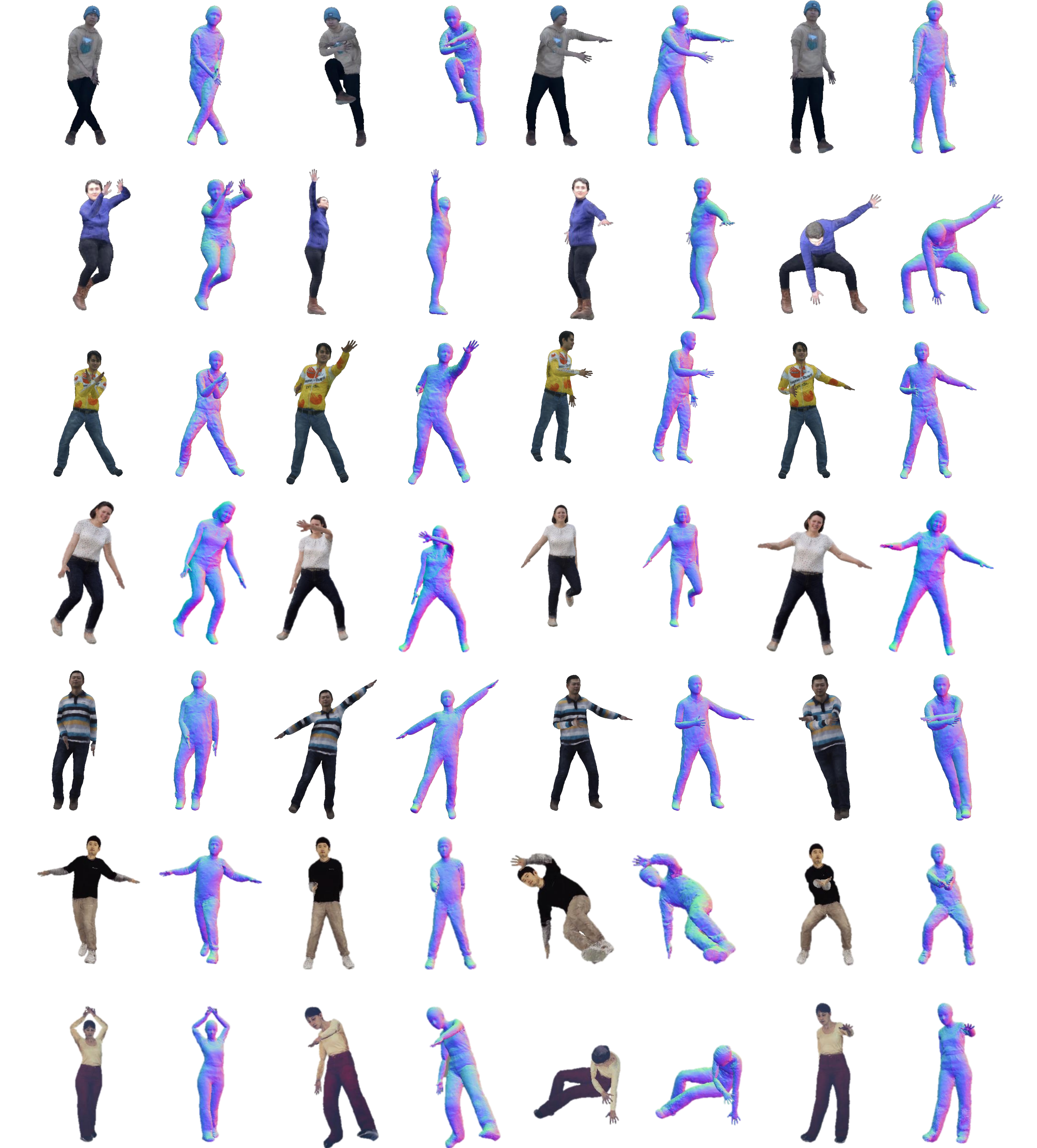 Animation results
