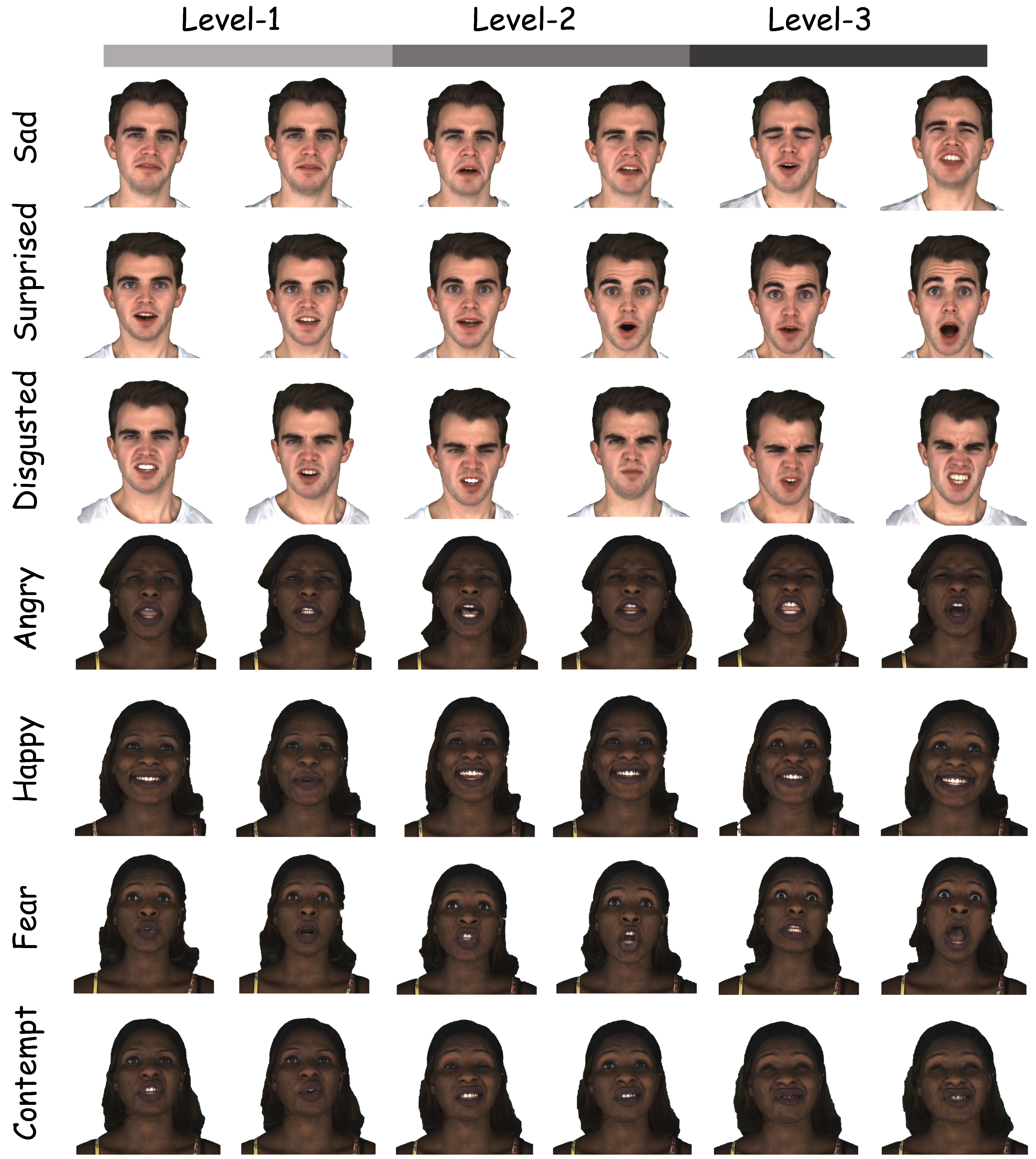 Results for different facial expression types and intensities.
